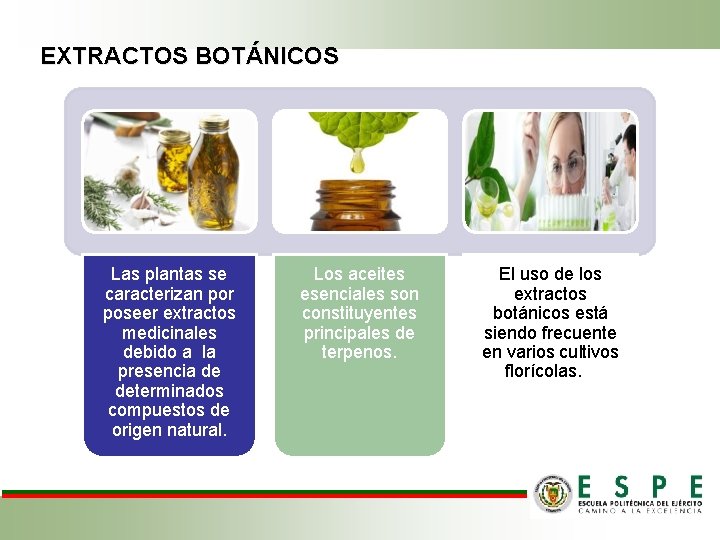EXTRACTOS BOTÁNICOS Las plantas se caracterizan por poseer extractos medicinales debido a la presencia