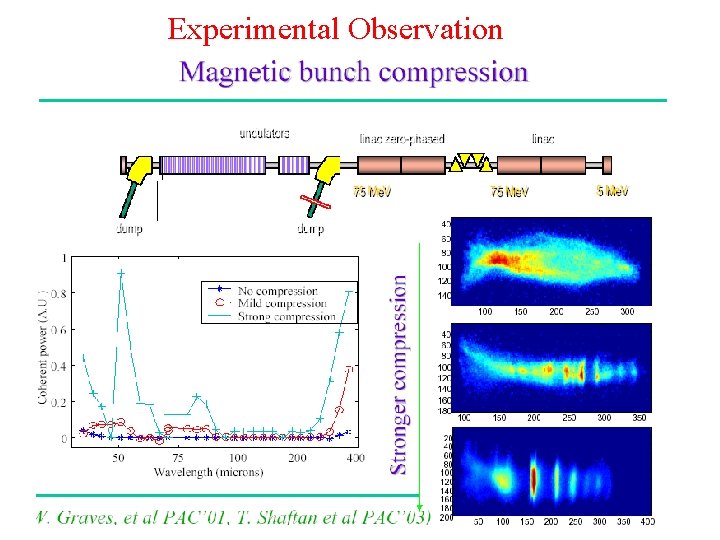 Experimental Observation 