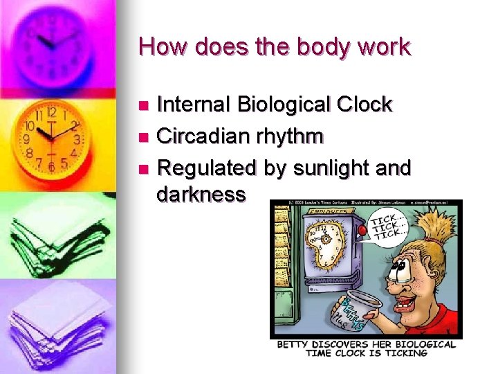 How does the body work Internal Biological Clock n Circadian rhythm n Regulated by How does the body work Internal Biological Clock n Circadian rhythm n Regulated by