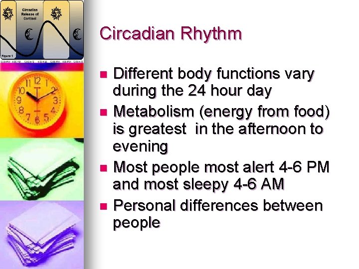 Circadian Rhythm Different body functions vary during the 24 hour day n Metabolism (energy Circadian Rhythm Different body functions vary during the 24 hour day n Metabolism (energy