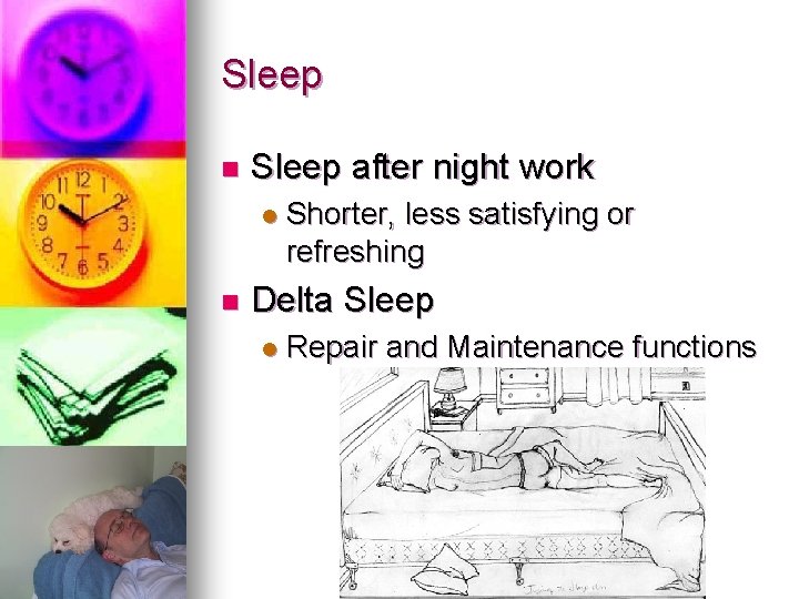 Sleep n Sleep after night work l n Shorter, less satisfying or refreshing Delta Sleep n Sleep after night work l n Shorter, less satisfying or refreshing Delta