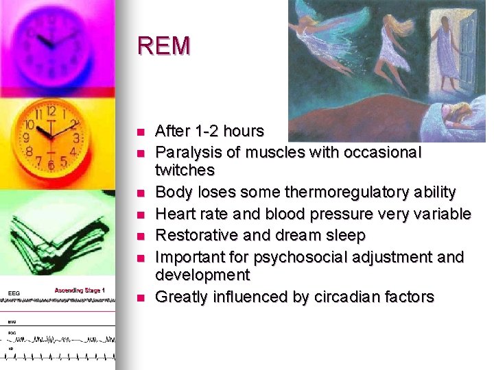 REM n n n n After 1 -2 hours Paralysis of muscles with occasional REM n n n n After 1 -2 hours Paralysis of muscles with occasional