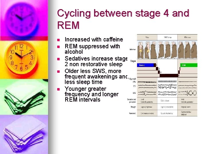 Cycling between stage 4 and REM n n n Increased with caffeine REM suppressed Cycling between stage 4 and REM n n n Increased with caffeine REM suppressed