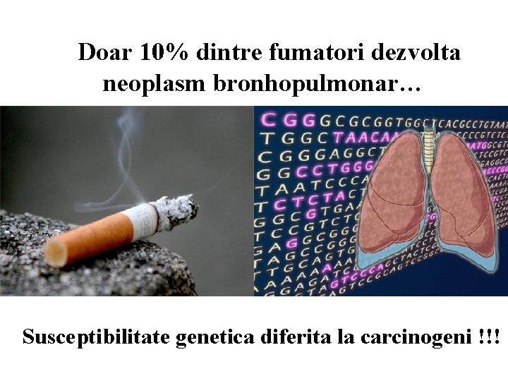 Doar 10% dintre fumatori dezvolta neoplasm bronhopulmonar… Susceptibilitate genetica diferita la carcinogeni !!! Doar 10% dintre fumatori dezvolta neoplasm bronhopulmonar… Susceptibilitate genetica diferita la carcinogeni !!!