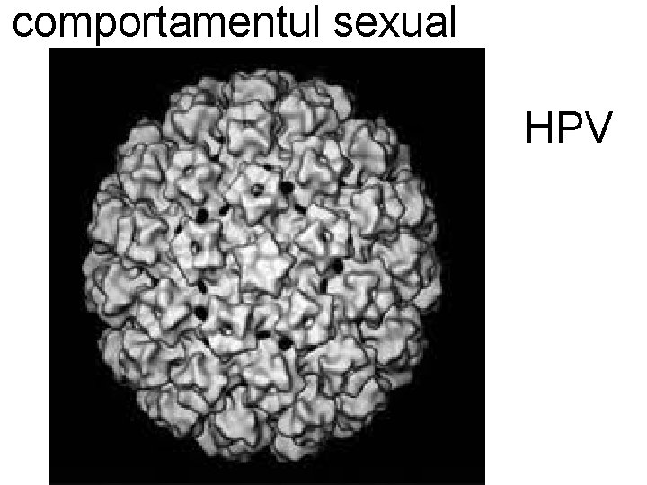 comportamentul sexual HPV comportamentul sexual HPV