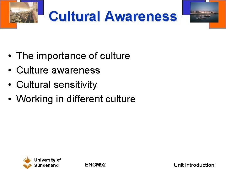 Cultural Awareness • • The importance of culture Culture awareness Cultural sensitivity Working in