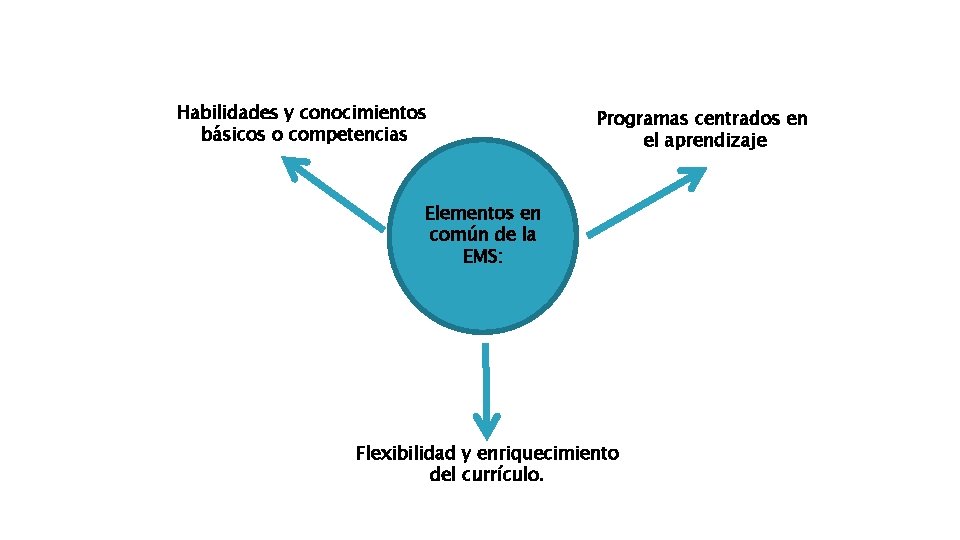 Habilidades y conocimientos básicos o competencias Programas centrados en el aprendizaje Elementos en común