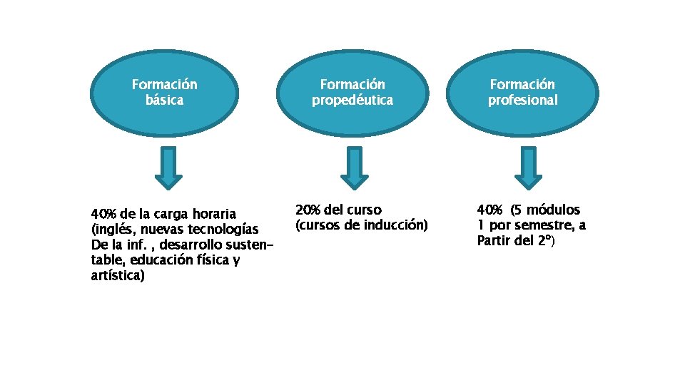 Formación básica 40% de la carga horaria (inglés, nuevas tecnologías De la inf. ,