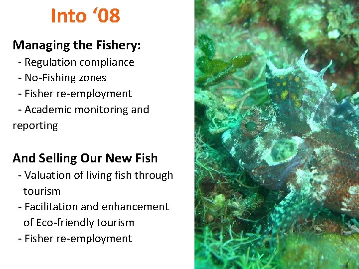 Into ‘ 08 Managing the Fishery: - Regulation compliance - No-Fishing zones - Fisher