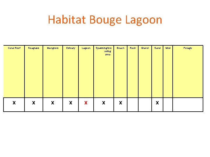 Habitat Bouge Lagoon Coral Reef Seagrass Mangrove Estuary Lagoon Spawning/bre eding area Beach Rock