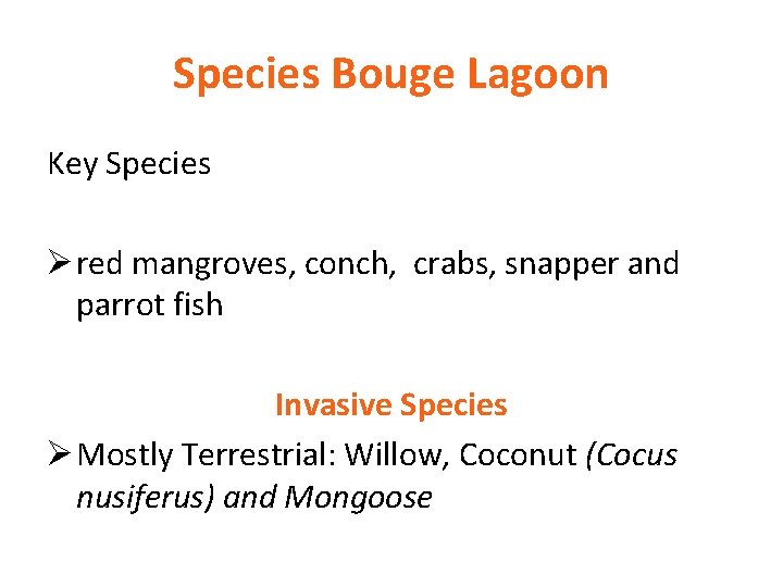 Species Bouge Lagoon Key Species Ø red mangroves, conch, crabs, snapper and parrot fish