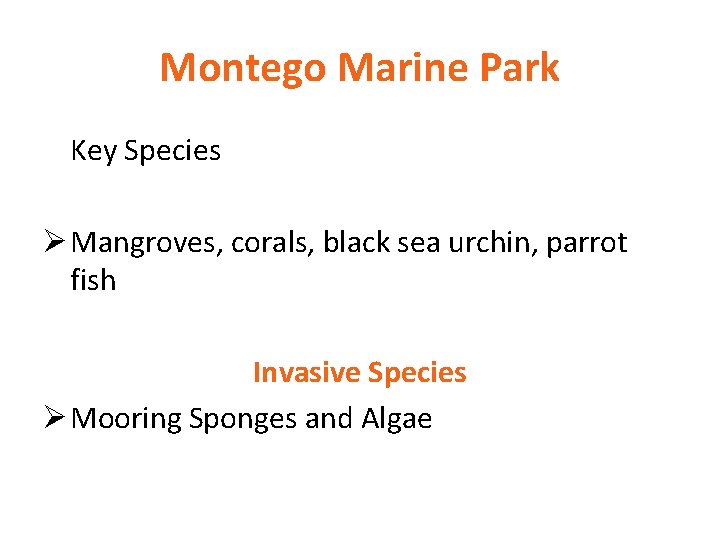 Montego Marine Park Key Species Ø Mangroves, corals, black sea urchin, parrot fish Invasive