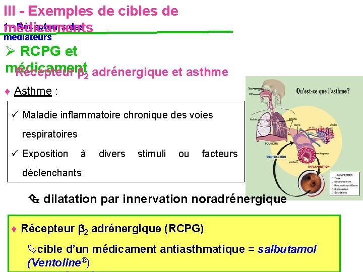 III - Exemples de cibles de 1 - Récepteurs des médicaments médiateurs RCPG et III - Exemples de cibles de 1 - Récepteurs des médicaments médiateurs RCPG et