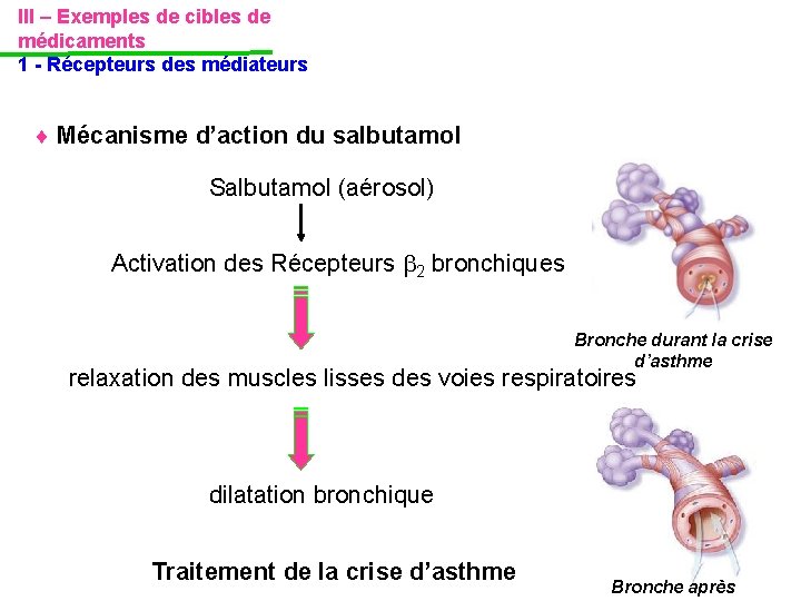III – Exemples de cibles de médicaments 1 - Récepteurs des médiateurs Mécanisme d’action III – Exemples de cibles de médicaments 1 - Récepteurs des médiateurs Mécanisme d’action