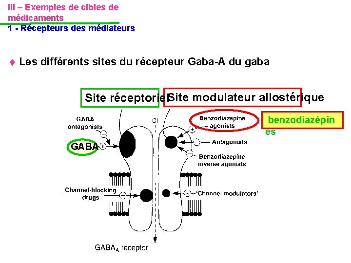 III – Exemples de cibles de médicaments 1 - Récepteurs des médiateurs Les différents III – Exemples de cibles de médicaments 1 - Récepteurs des médiateurs Les différents