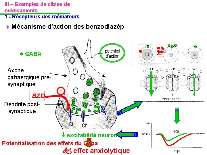 III – Exemples de cibles de médicaments 1 - Récepteurs des médiateurs Mécanisme d’action III – Exemples de cibles de médicaments 1 - Récepteurs des médiateurs Mécanisme d’action