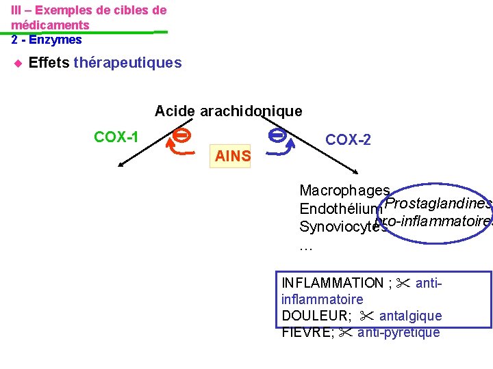 III – Exemples de cibles de médicaments 2 - Enzymes Effets thérapeutiques Acide arachidonique III – Exemples de cibles de médicaments 2 - Enzymes Effets thérapeutiques Acide arachidonique