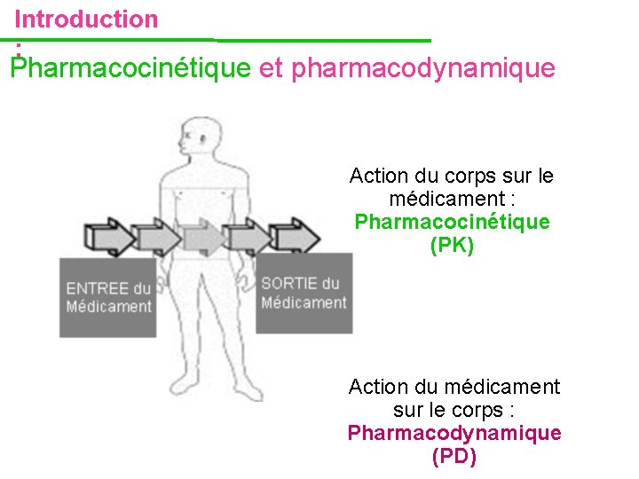 Introduction : Pharmacocinétique et pharmacodynamique Action du corps sur le médicament : Pharmacocinétique (PK) Introduction : Pharmacocinétique et pharmacodynamique Action du corps sur le médicament : Pharmacocinétique (PK)