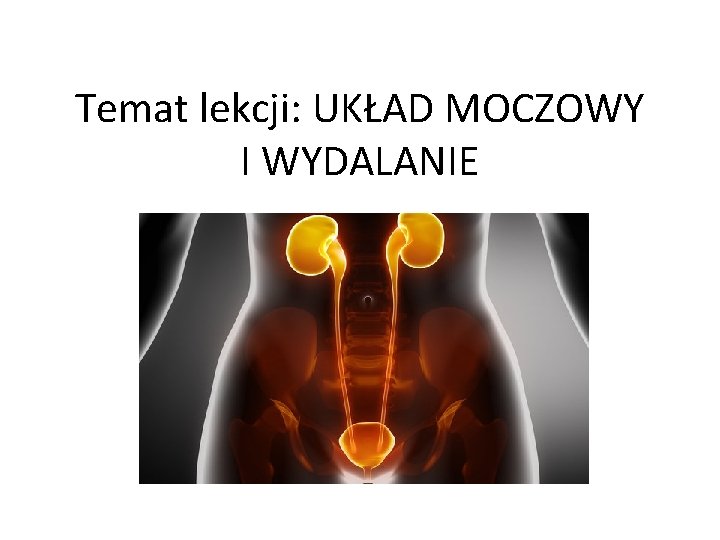 Temat lekcji: UKŁAD MOCZOWY I WYDALANIE 