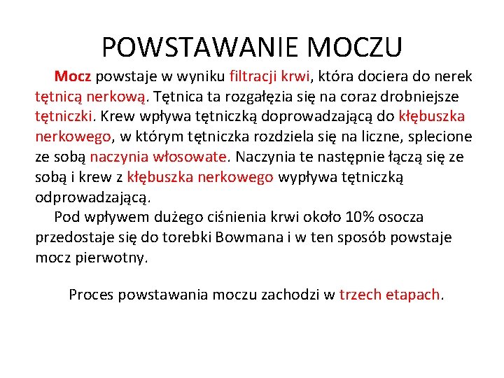POWSTAWANIE MOCZU Mocz powstaje w wyniku filtracji krwi, która dociera do nerek tętnicą nerkową.