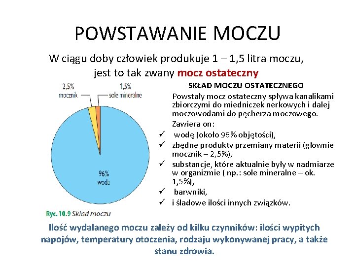 POWSTAWANIE MOCZU W ciągu doby człowiek produkuje 1 – 1, 5 litra moczu, jest