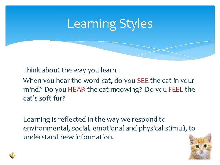 Learning Styles Think about the way you learn. When you hear the word cat, Learning Styles Think about the way you learn. When you hear the word cat,