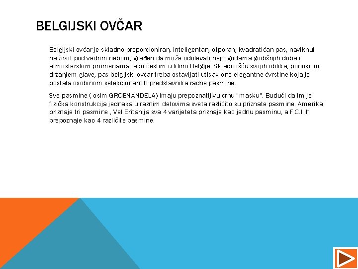 BELGIJSKI OVČAR Belgijski ovčar je skladno proporcioniran, inteligentan, otporan, kvadratičan pas, naviknut na život