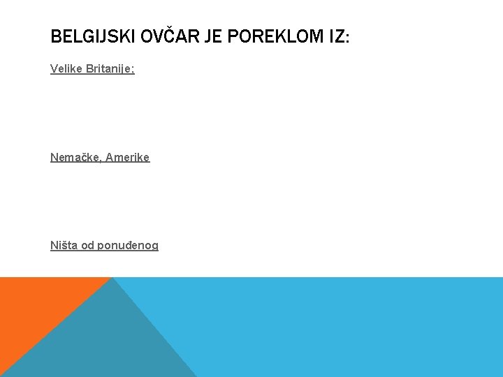 BELGIJSKI OVČAR JE POREKLOM IZ: Velike Britanije; Nemačke, Amerike Ništa od ponuđenog 
