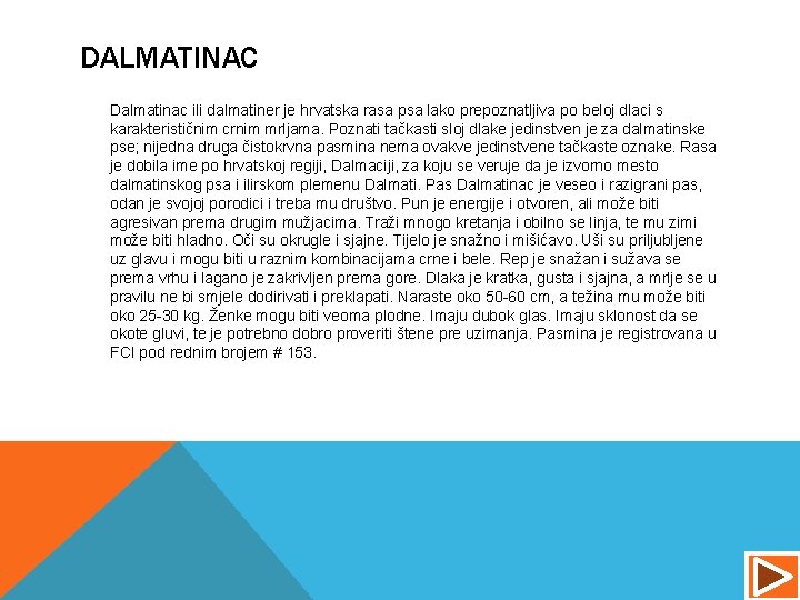 DALMATINAC Dalmatinac ili dalmatiner je hrvatska rasa psa lako prepoznatljiva po beloj dlaci s