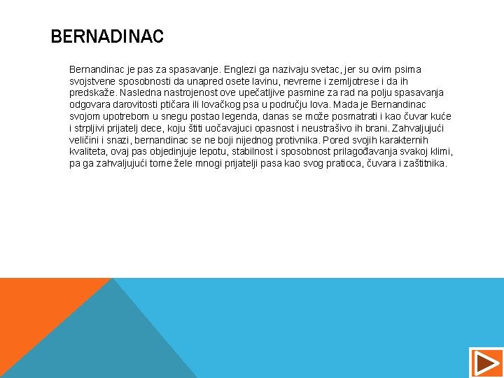 BERNADINAC Bernandinac je pas za spasavanje. Englezi ga nazivaju svetac, jer su ovim psima