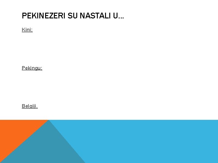 PEKINEZERI SU NASTALI U. . . Kini; Pekingu; Belgiji. 