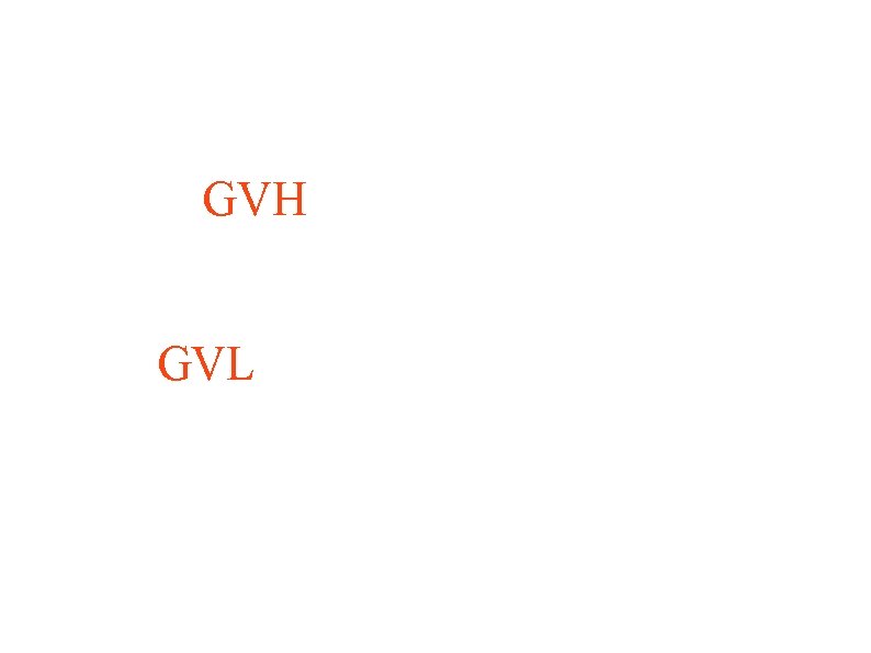 GVH (graft versus host) Réaction du greffon contre l'hôte Et GVL (graft versus leukemia)