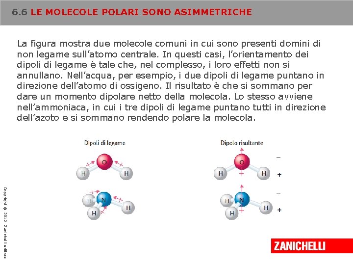 6. 6 LE MOLECOLE POLARI SONO ASIMMETRICHE La figura mostra due molecole comuni in