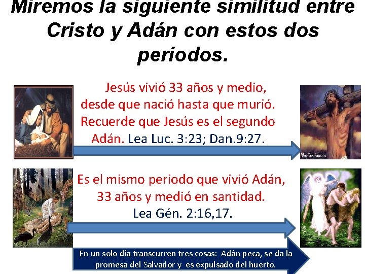 Miremos la siguiente similitud entre Cristo y Adán con estos dos periodos. Jesús vivió