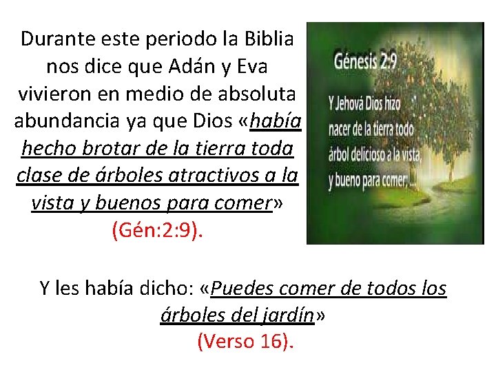 Durante este periodo la Biblia nos dice que Adán y Eva vivieron en medio