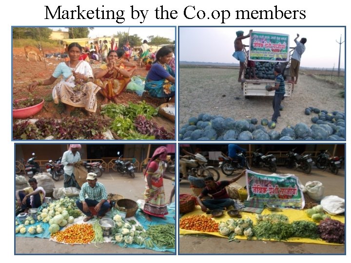 Marketing by the Co. op members 