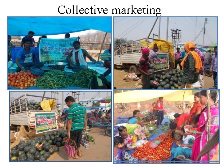 Collective marketing 