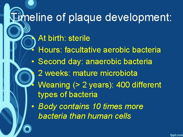 Timeline of plaque development: • • • At birth: sterile Hours: facultative aerobic bacteria