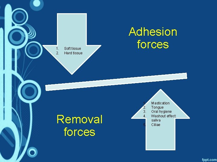 1. 2. Soft tissue Hard tissue Removal forces Adhesion forces 1. 2. 3. 4.