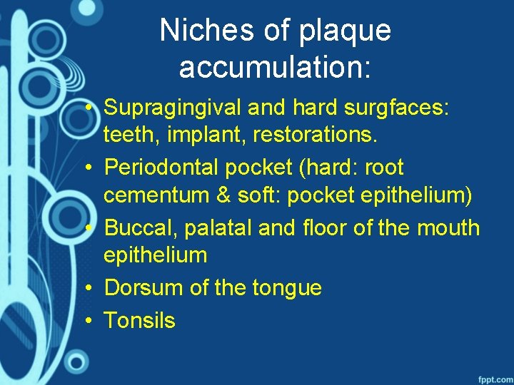 Niches of plaque accumulation: • Supragingival and hard surgfaces: teeth, implant, restorations. • Periodontal