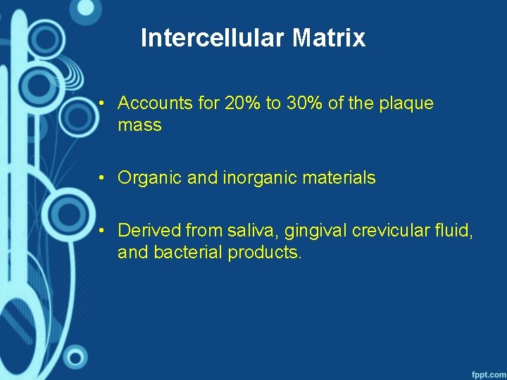 Intercellular Matrix • Accounts for 20% to 30% of the plaque mass • Organic