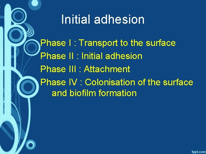 Initial adhesion Phase I : Transport to the surface Phase II : Initial adhesion