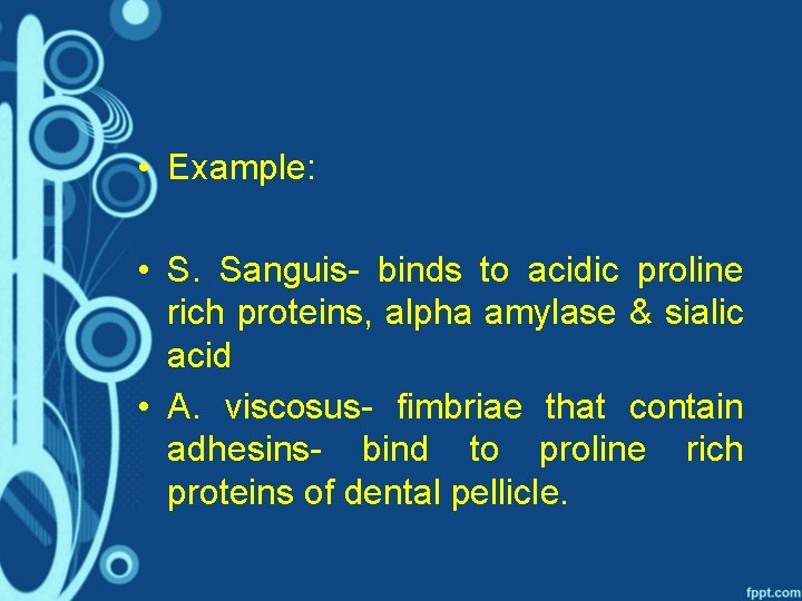  • Example: • S. Sanguis- binds to acidic proline rich proteins, alpha amylase