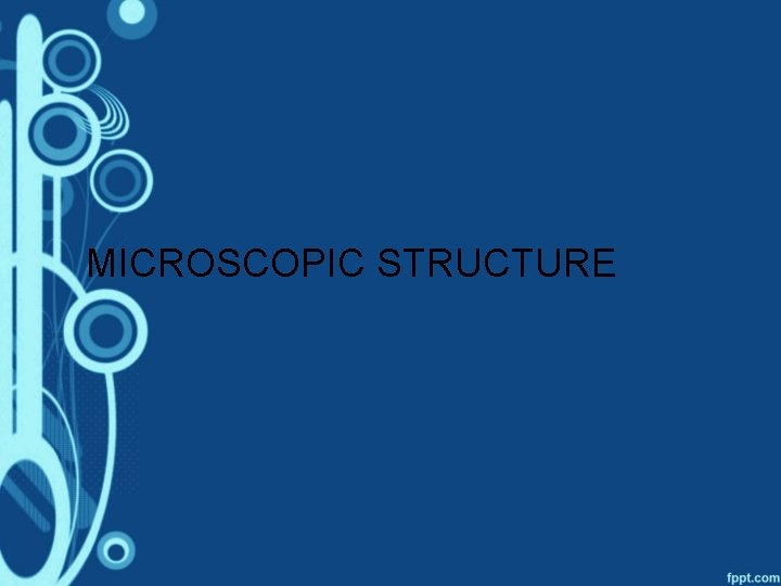 MICROSCOPIC STRUCTURE 