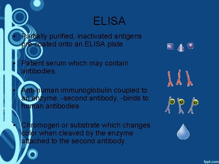 ELISA • Partially purified, inactivated antigens pre-coated onto an ELISA plate • Patient serum