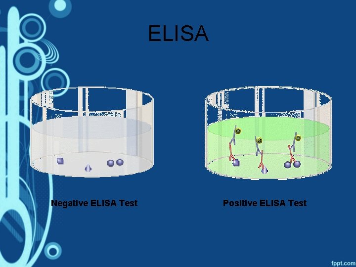 ELISA Negative ELISA Test Positive ELISA Test 