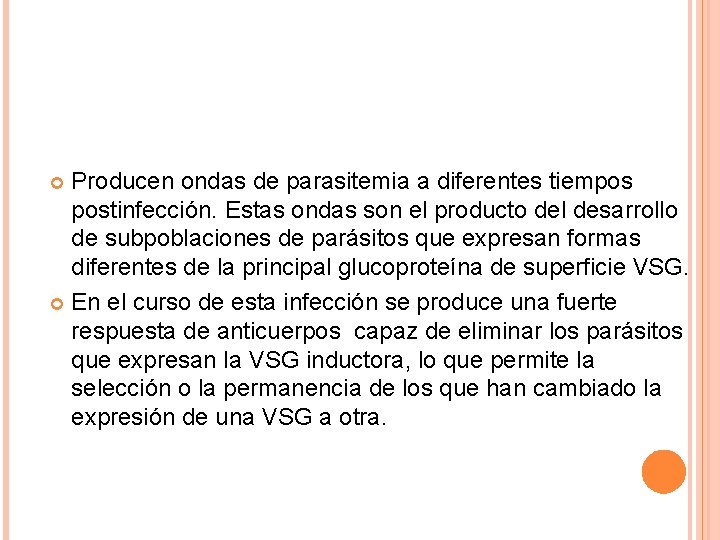 Producen ondas de parasitemia a diferentes tiempos postinfección. Estas ondas son el producto del