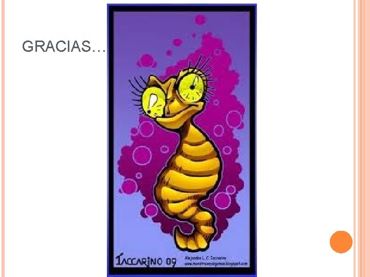GRACIAS… 