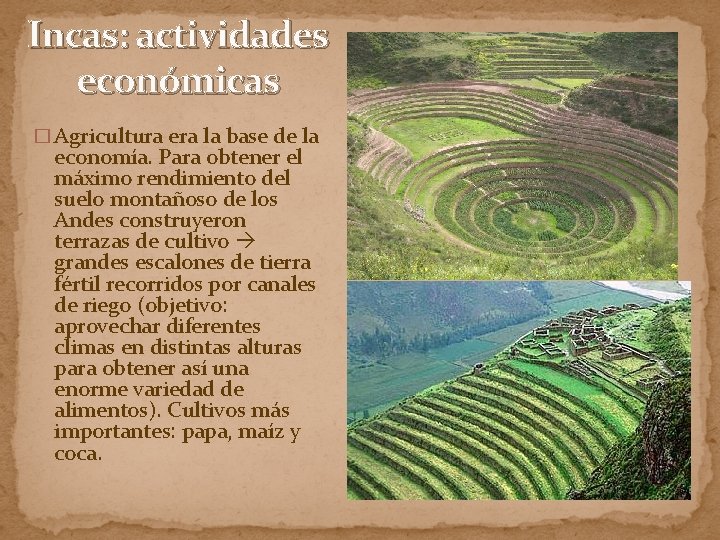 Incas: actividades económicas � Agricultura era la base de la economía. Para obtener el