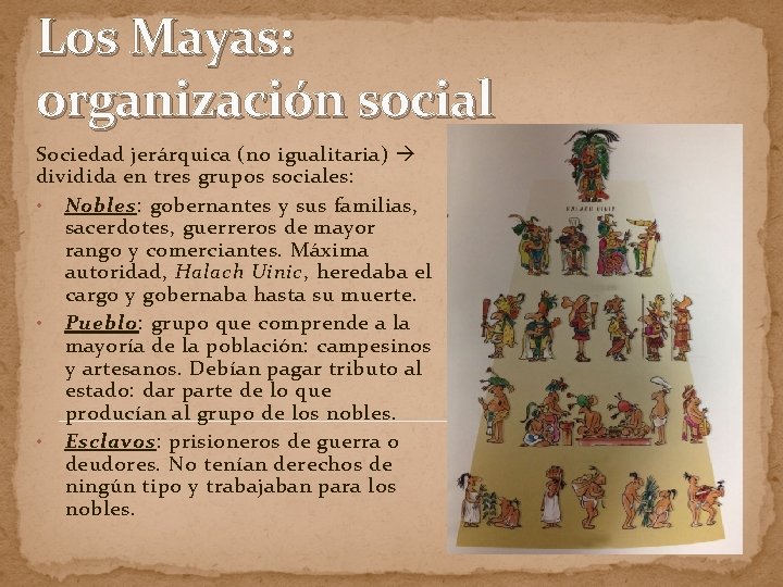 Los Mayas: organización social Sociedad jerárquica (no igualitaria) dividida en tres grupos sociales: •